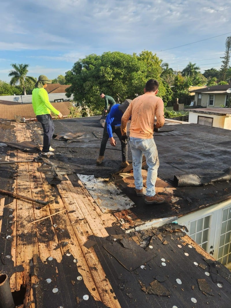 Completed flat roof project