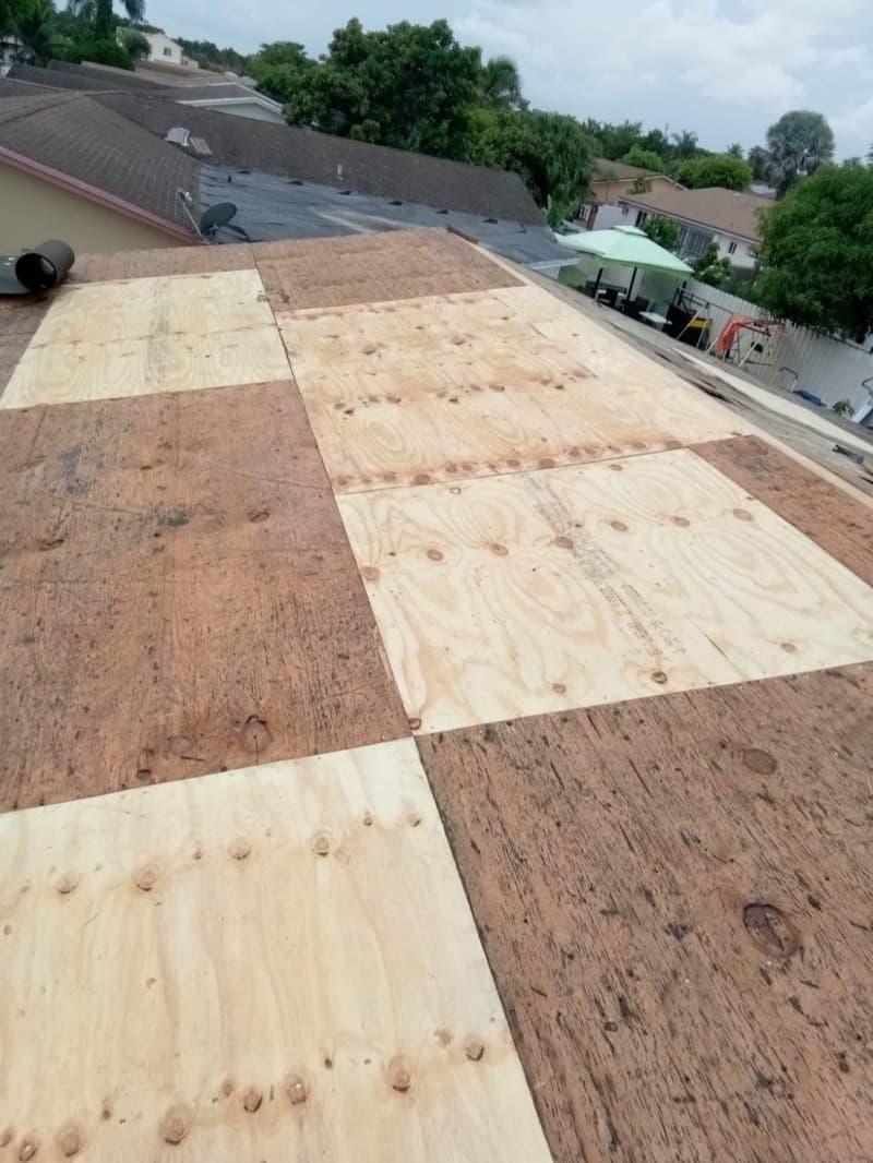 New plywood deck replacement