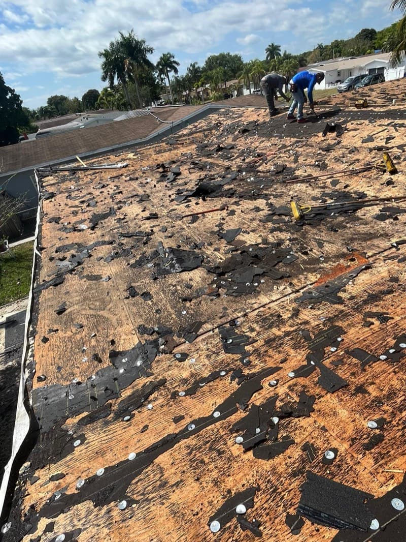Roof tear-off exposing decking