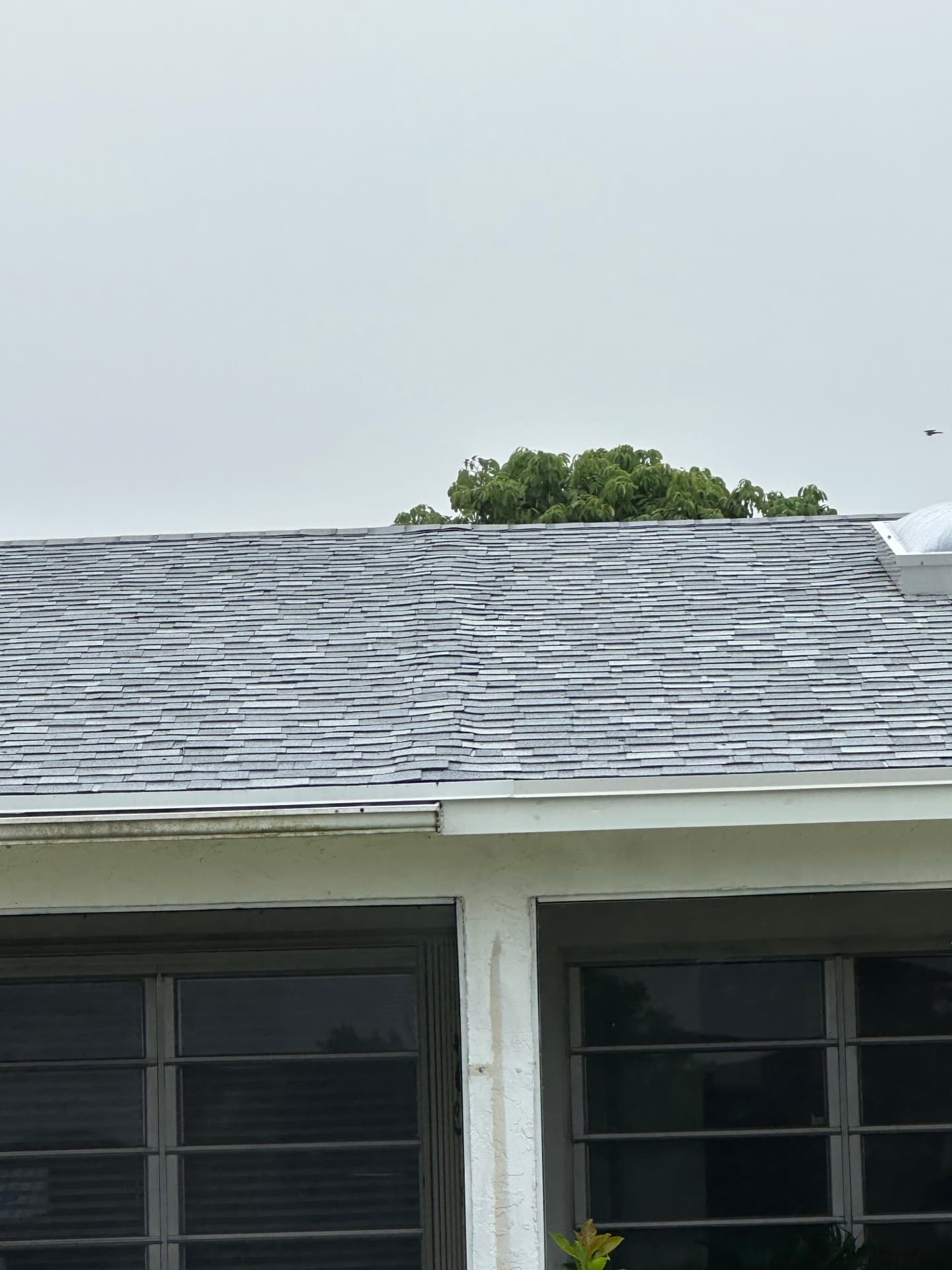 Tile Roof