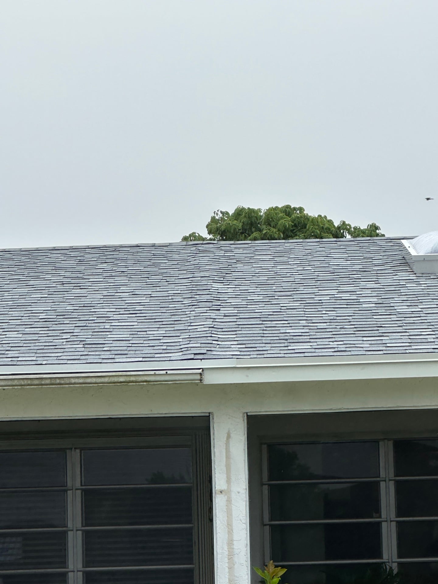 Terracotta tile roof